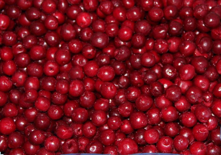 FROZEN   LINGONBERRY