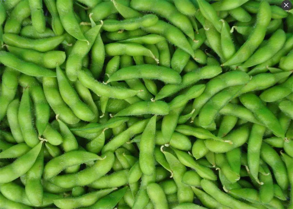 FROZEN SOY BEANS